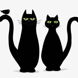 Meet your Posher, Peggy